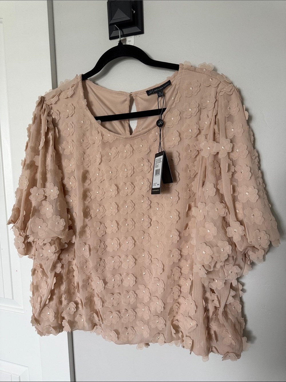 Adrianna Papell Blush Pink 3D Floral Appliqué Blouse